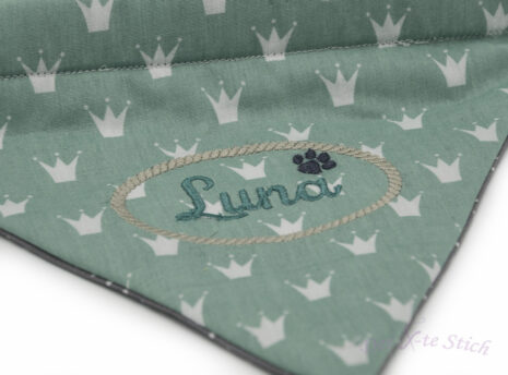 DXS_PP_242 DXS_PP_242