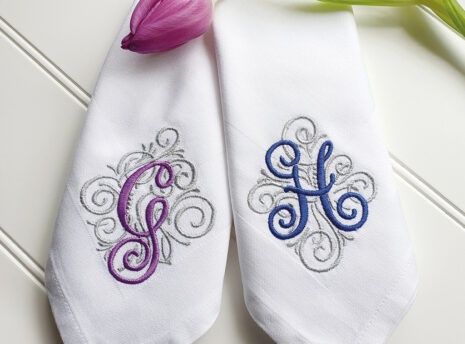 DXS_PP_481 DXS_PP_481