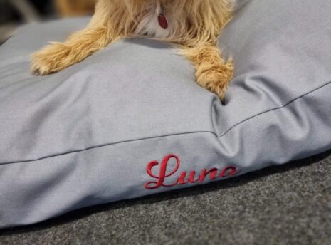 WhatsApp Image 2026-01-13 at 10.13.51 (1) WhatsApp Image 2026-01-13 at 10.13.51 (1)